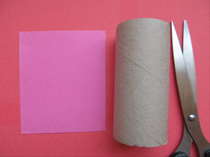 גזרו חתיכת נייר הגדולה מספיק שתוכל להקיף חצי מגליל נייר הטואלט.

ראו תמונה הבאה.