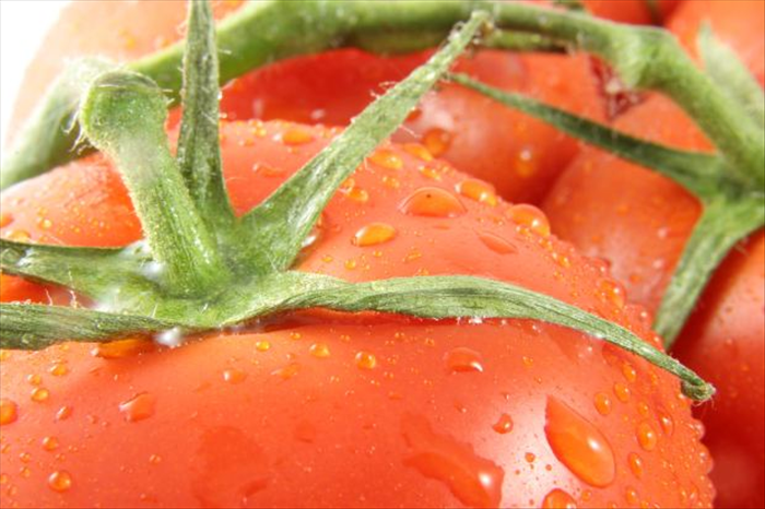 הציבו עמודי תמיכה לצד צמחי העגבניה או כלובים מסביבם עוד לפני שהם גדלים לגמרי. צמח עגבניה יכול להגיע ל2 מטר.